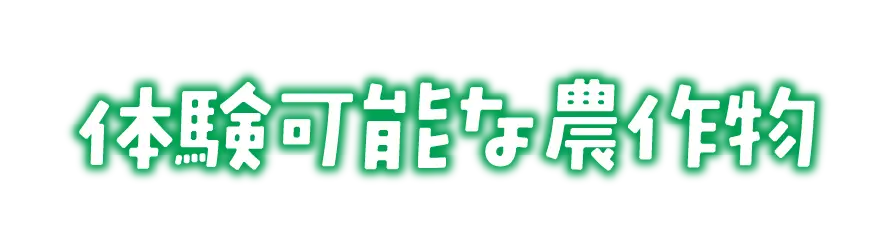 体験可能な農作物