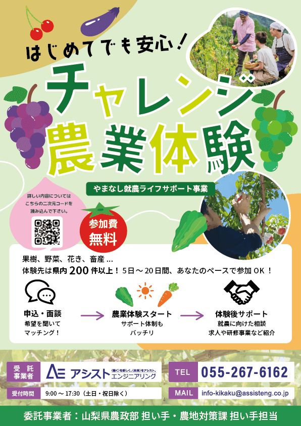 フライヤーの画像